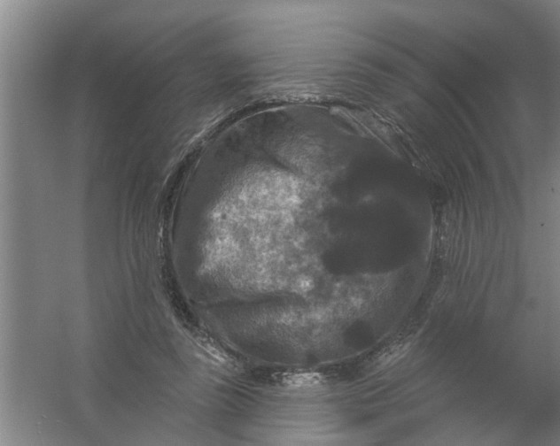 X0000059840355200511041819