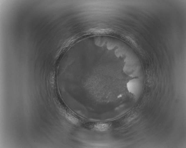 X0000059840357200511041819