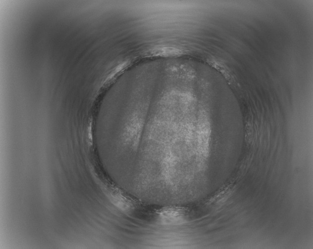 X0000059840358200511041819