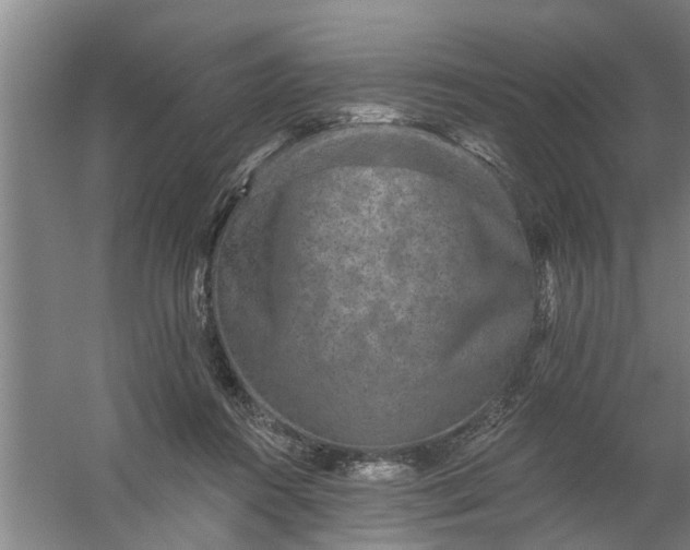 X0000059840360200511041819