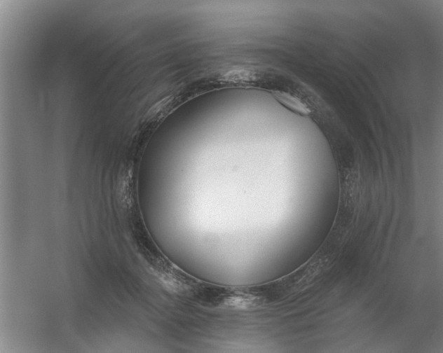 X0000059840364200511041819