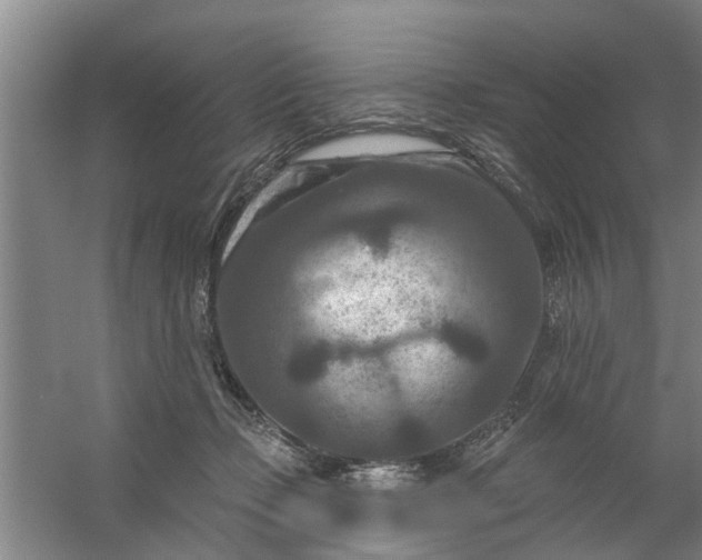 X0000059840365200511041819