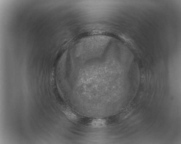 X0000059840369200511041819