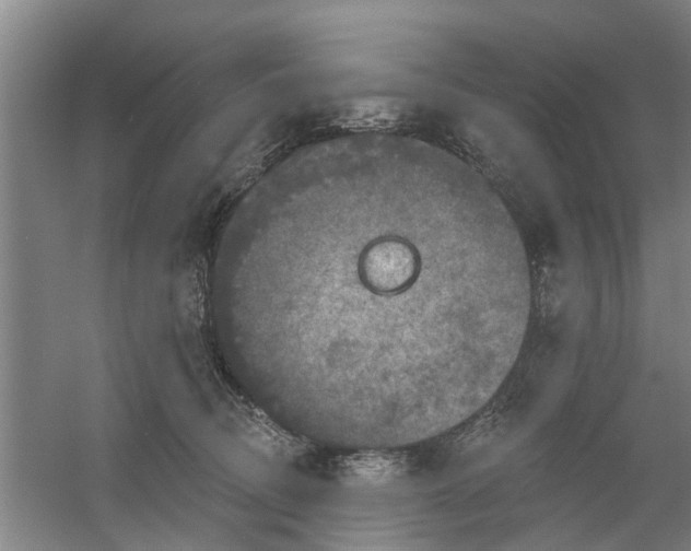 X0000059840370200511041819