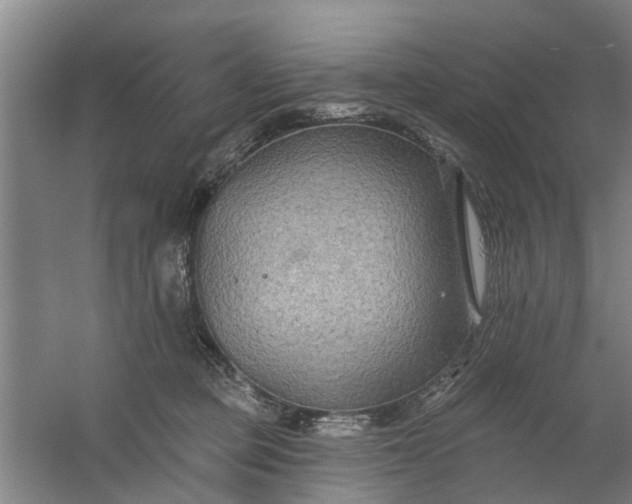 X0000059840373200511041819