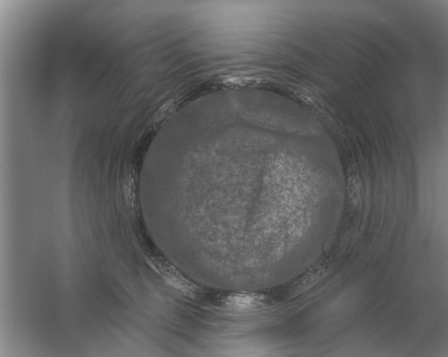 X0000059840375200511041819