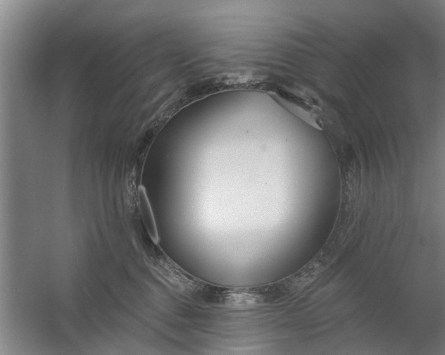 X0000059840376200511041819