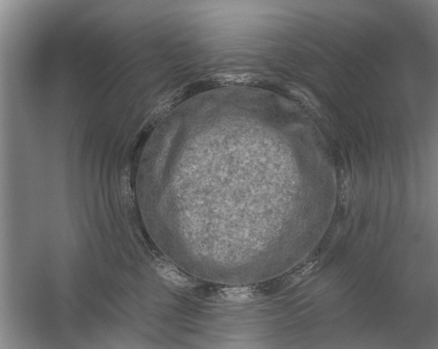 X0000059840377200511041819