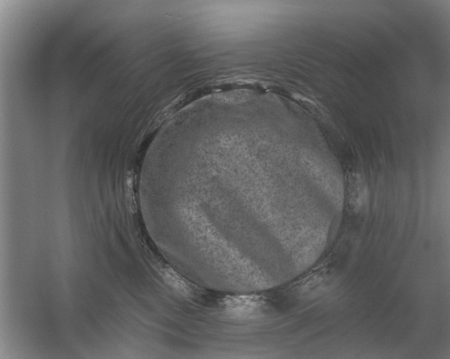 X0000059840378200511041819