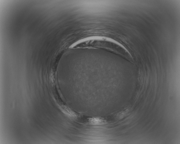 X0000059840380200511041819