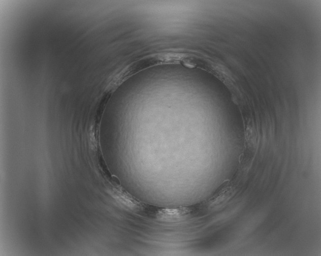 X0000059840381200511041820