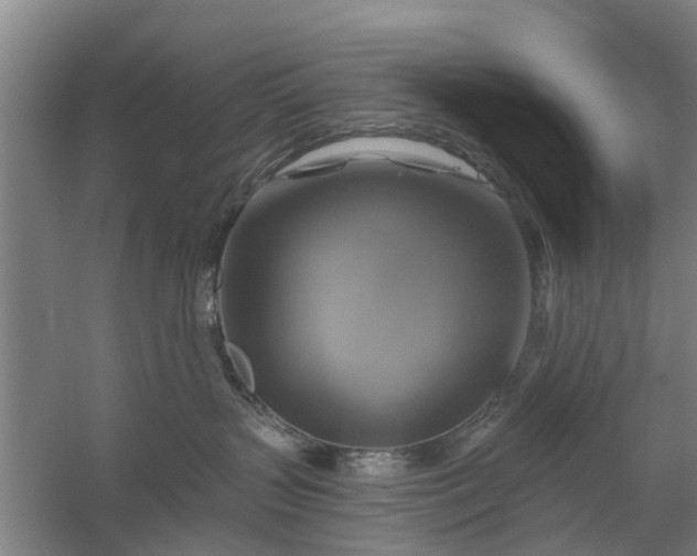 X0000059840383200511041820