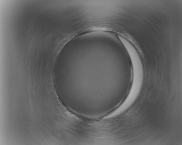 X0000059840385200511041819