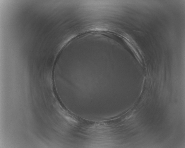 X0000059840386200511041819