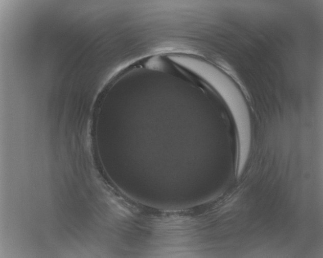 X0000059840387200511041819