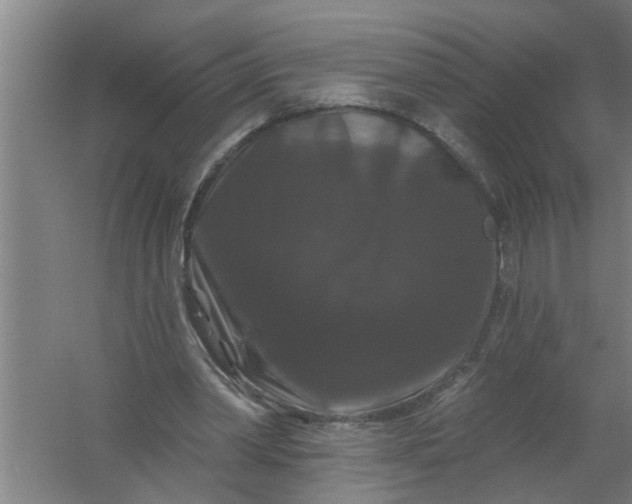 X0000059840390200511041819