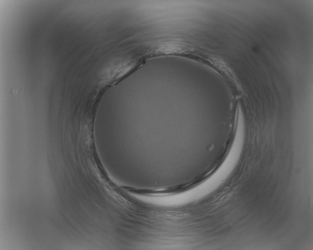 X0000059840393200511041819