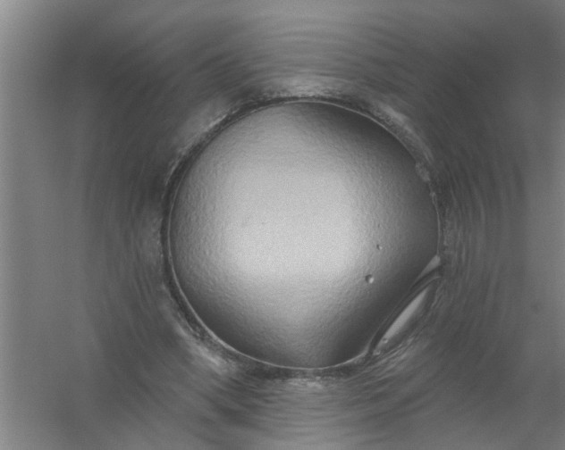 X0000059840394200511041819