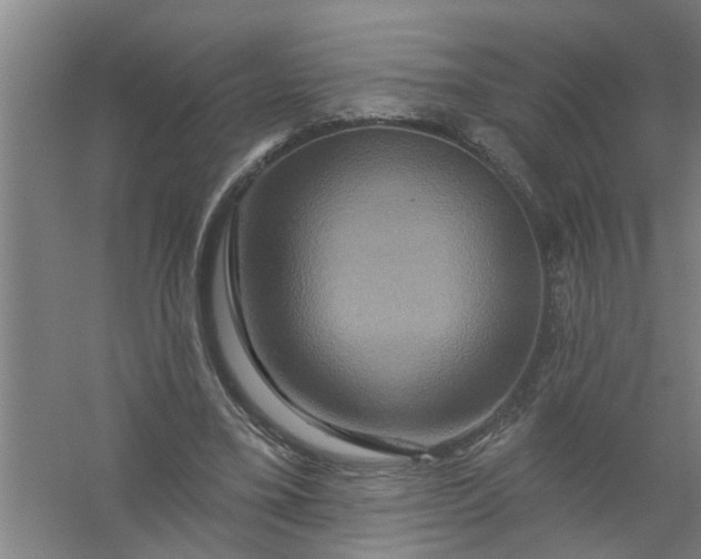 X0000059840395200511041819