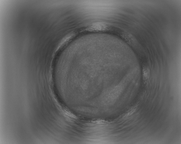 X0000059840396200511041819