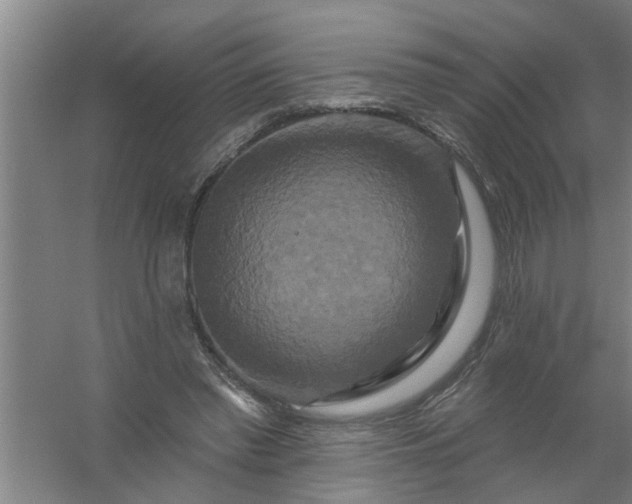 X0000059840397200511041819