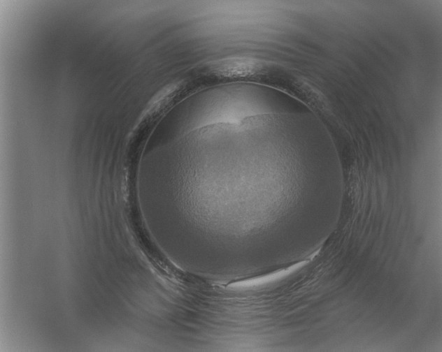 X0000059840400200511041818