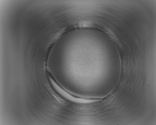 X0000059840401200511041818