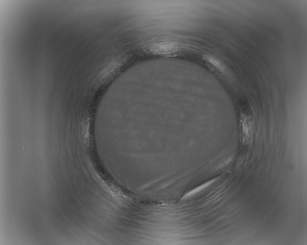 X0000059840404200511041818