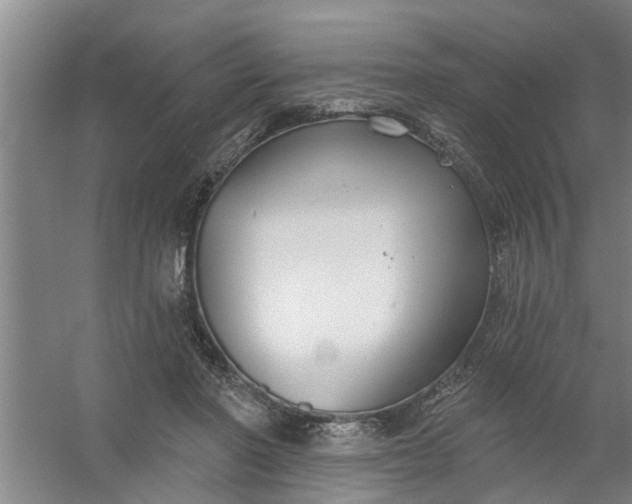 X0000059840406200511041818