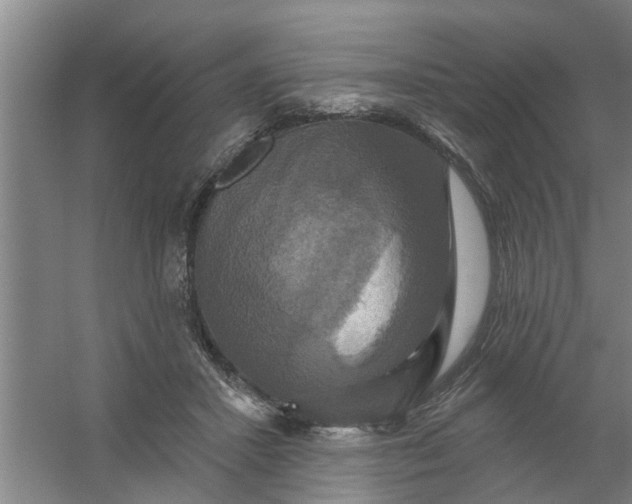 X0000059840407200511041818