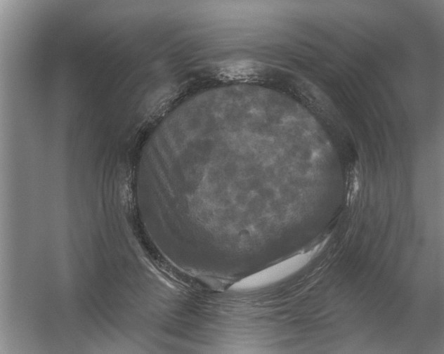 X0000059840408200511041818