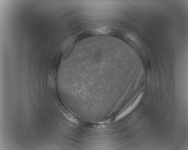 X0000059840409200511041818