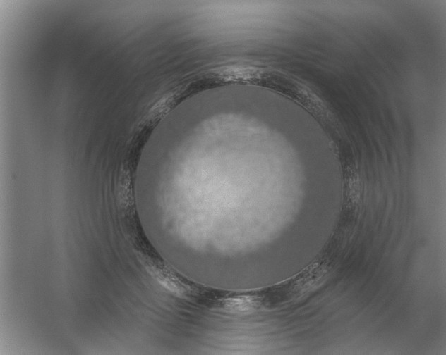 X0000059840411200511041818