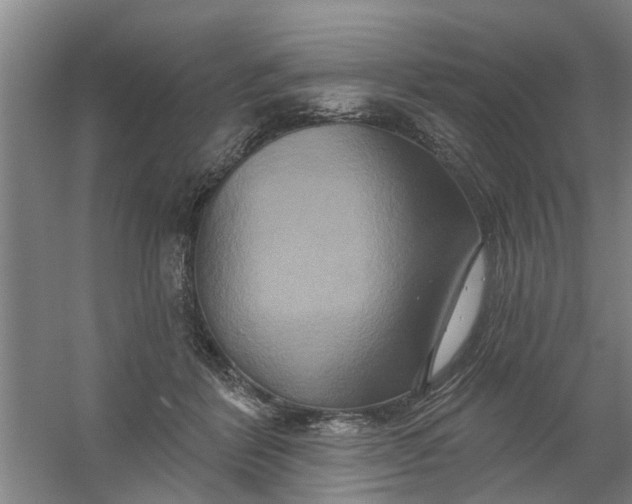 X0000059840412200511041818