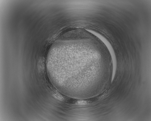 X0000059840413200511041818