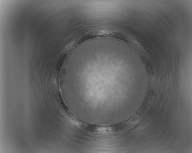 X0000059840415200511041818