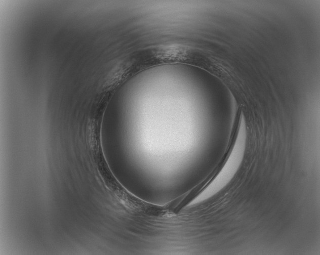 X0000059840416200511041818