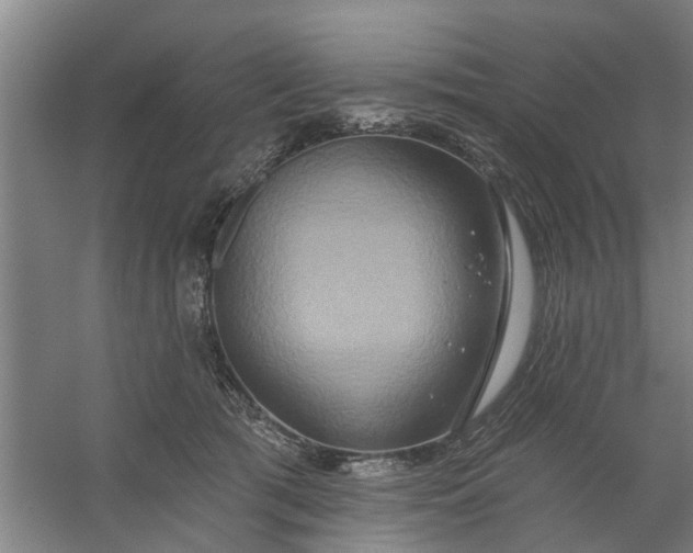 X0000059840417200511041818