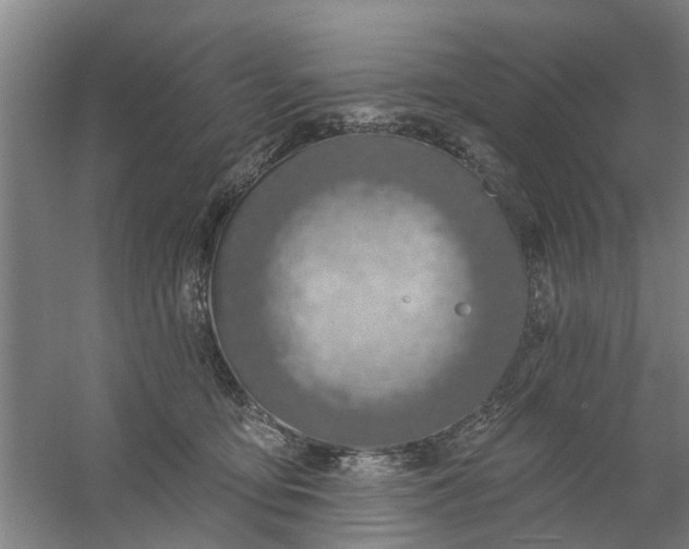 X0000059840419200511041818