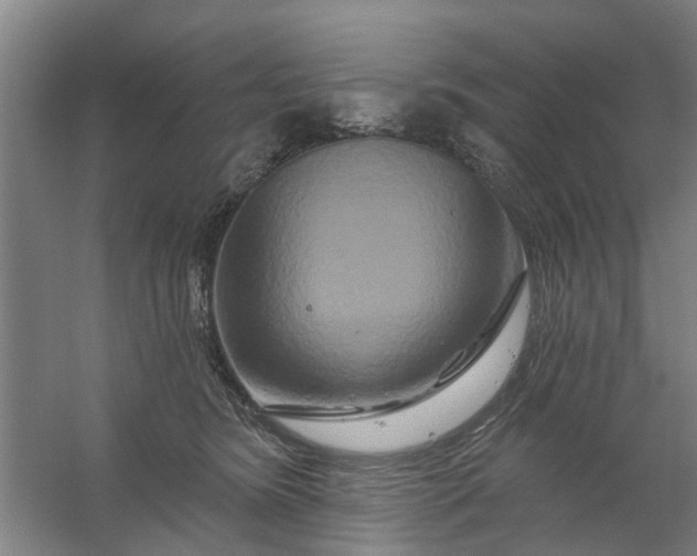 X0000059840420200511041818