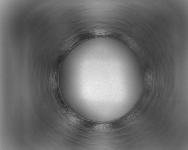 X0000059840422200511041818