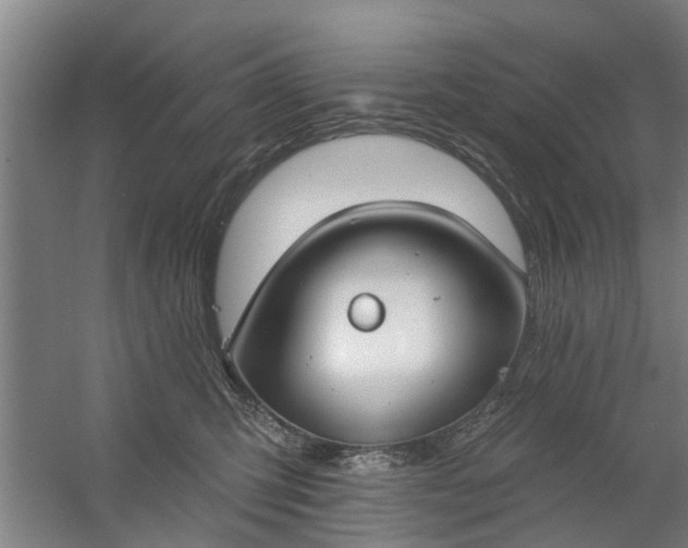 X0000059840423200511041818