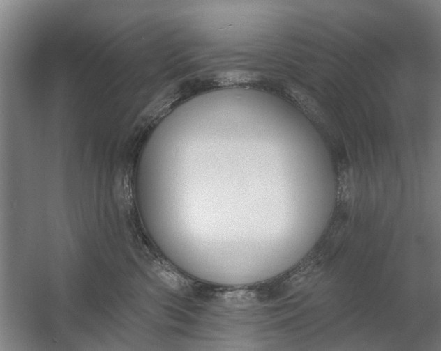 X0000059840426200511041818