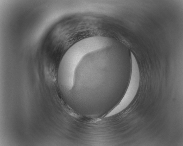 X0000059840431200511041818