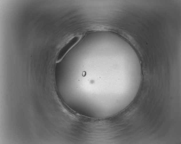 X0000059840433200511041817