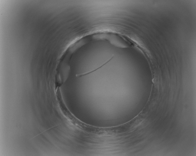 X0000059840434200511041817