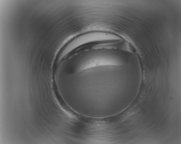 X0000059840438200511041817