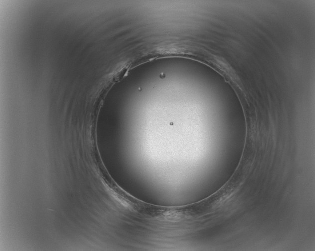 X0000059840441200511041817