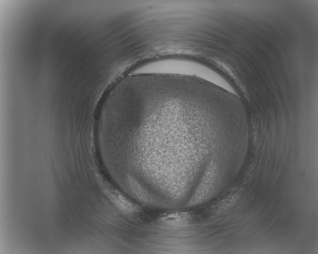 X0000059840447200511041817