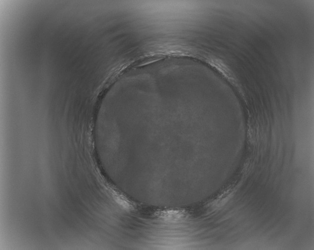 X0000059840449200511041817